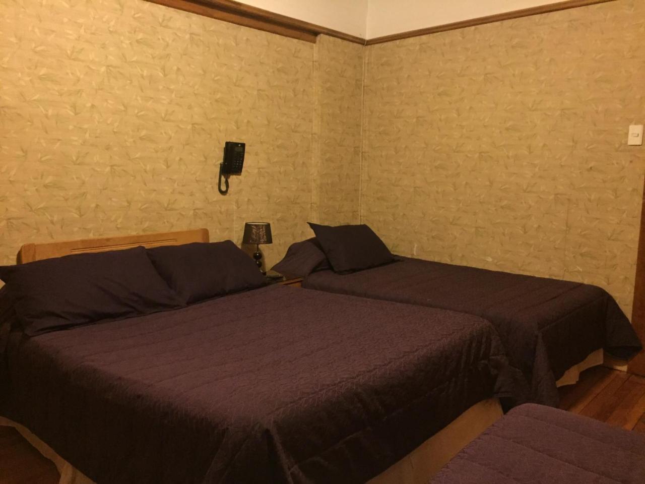 Hostal Chalet Las Violetas Punta Arenas Zewnętrze zdjęcie